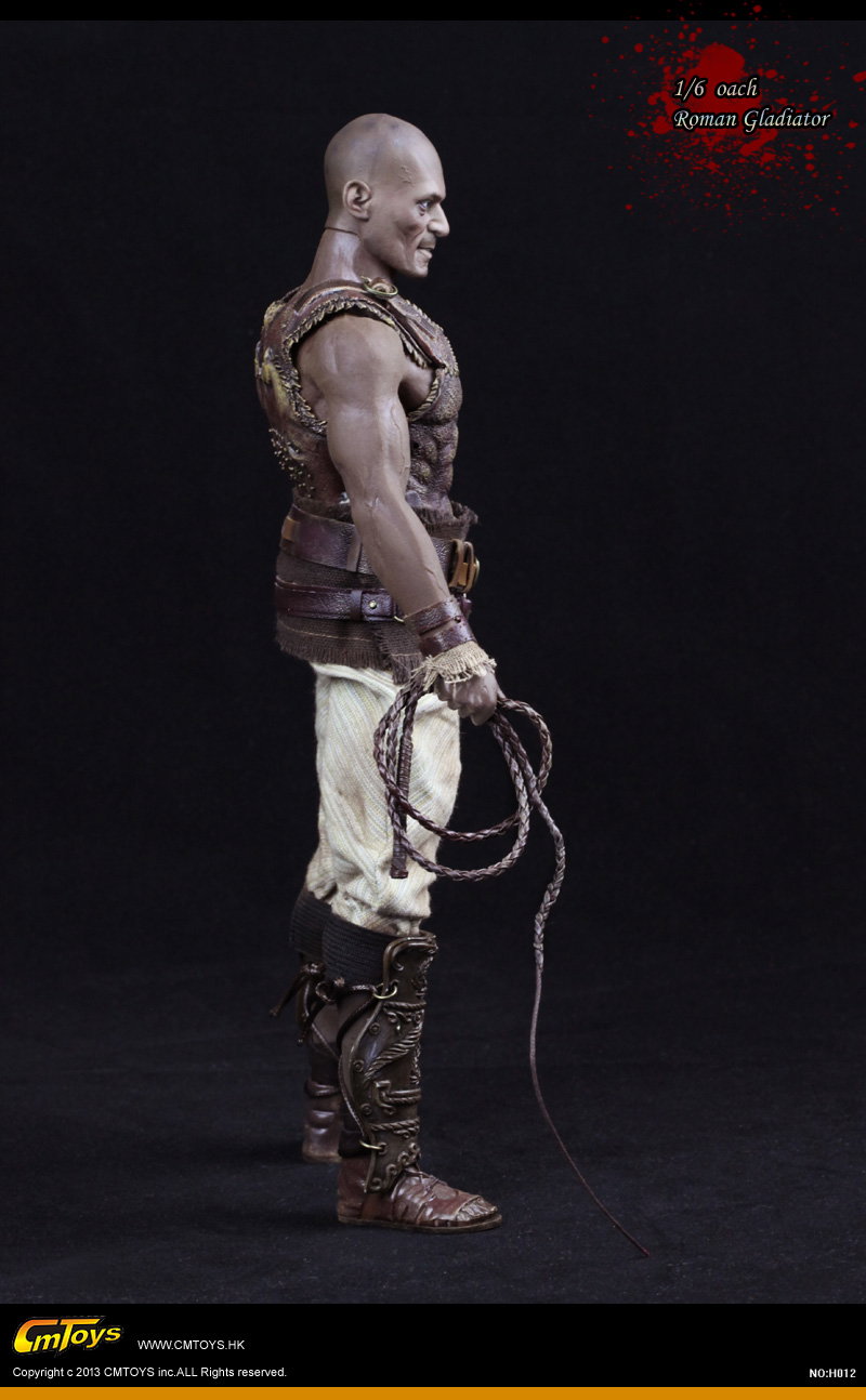 Roman Gladiator Coach image 5