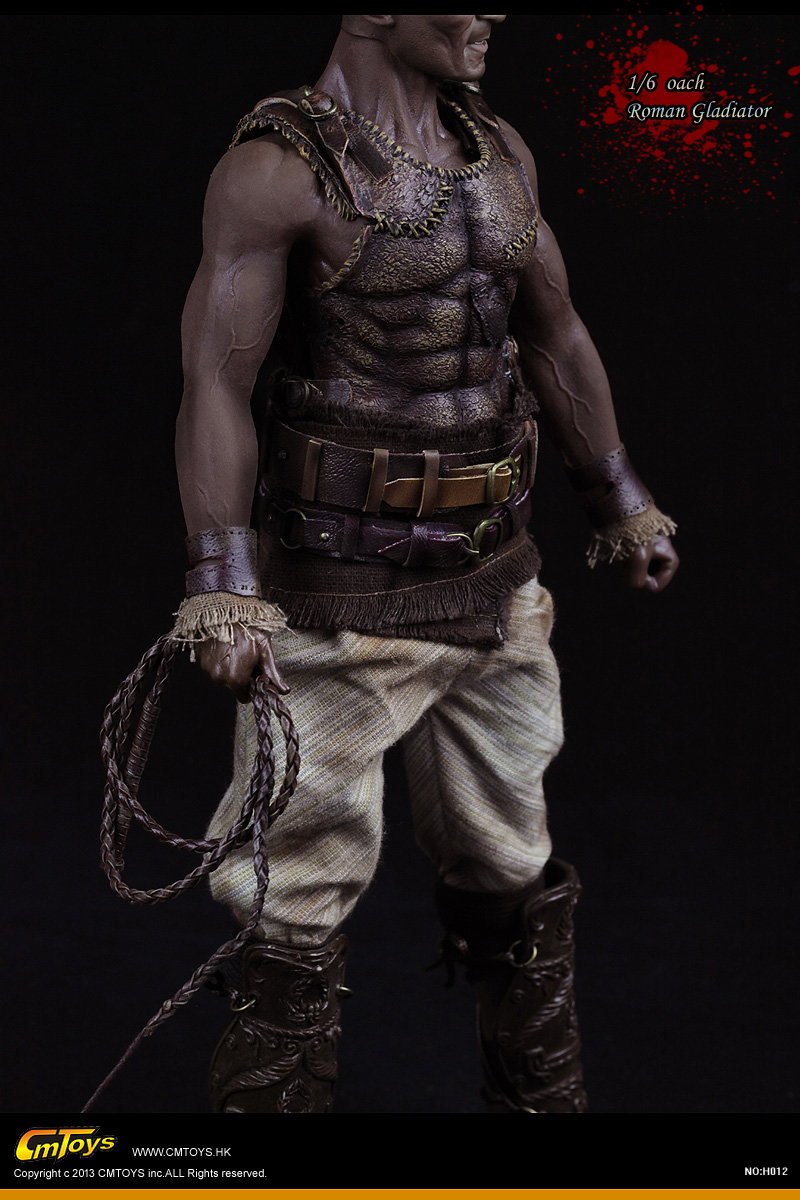 Roman Gladiator Coach image 7