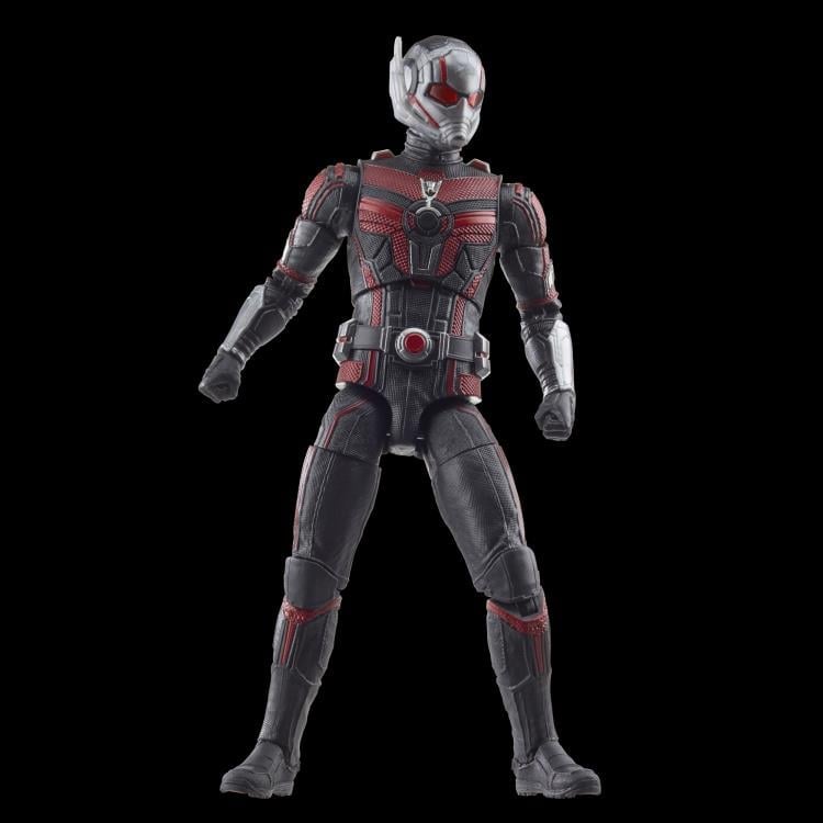 Ant-Man & The Wasp: Quantumania Marvel Legends Ant-Man (Cassie Lang BAF) image 4