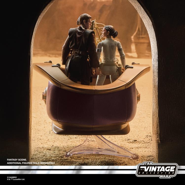 Star Wars: The Vintage Collection Orray & Geonosian Picador (Attack of the Clones) Set image 6