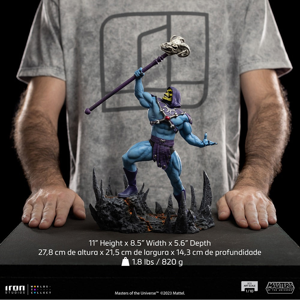 Skeletor - Masters of the Universe - BDS image 7