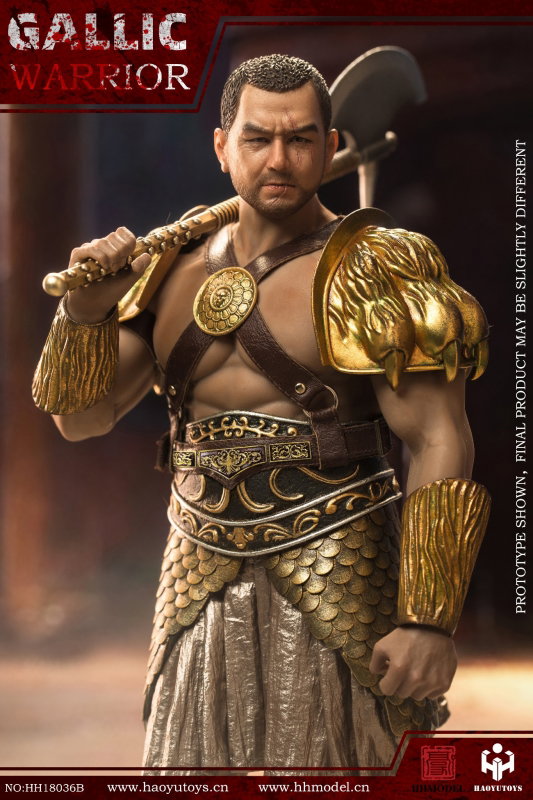 Rome Imperial Army - Hunting Ground Fighter Gaul Gallic Warrior (Gold Edition) image 3