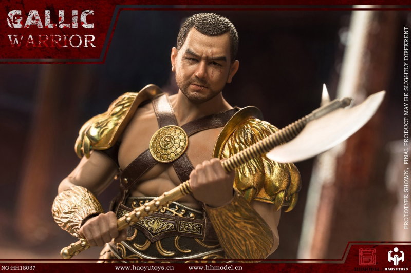 Rome Imperial Army - Hunting Ground Fighter Gaul Gallic Warrior (Gold Edition) image 6