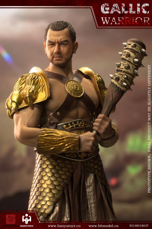 Rome Imperial Army - Hunting Ground Fighter Gaul Gallic Warrior Pack image 2