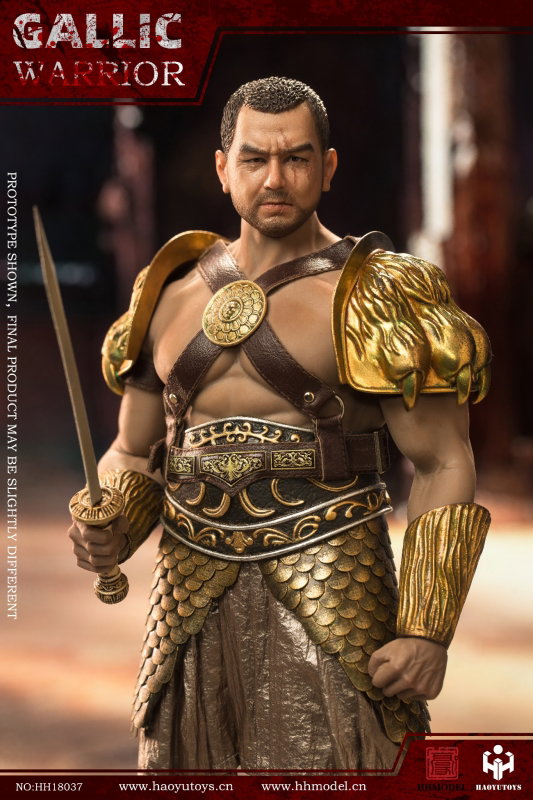 Rome Imperial Army - Hunting Ground Fighter Gaul Gallic Warrior Pack image 4