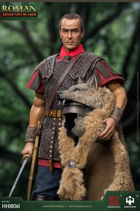 Imperial Legion - Roman Standard Bearer image 8