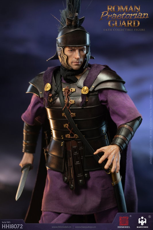 Imperial Legion - Roman Praetorian Guard image 7