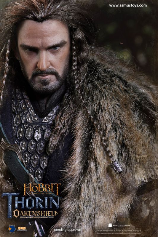 The Hobbit - Thorin Oakenshield image 10