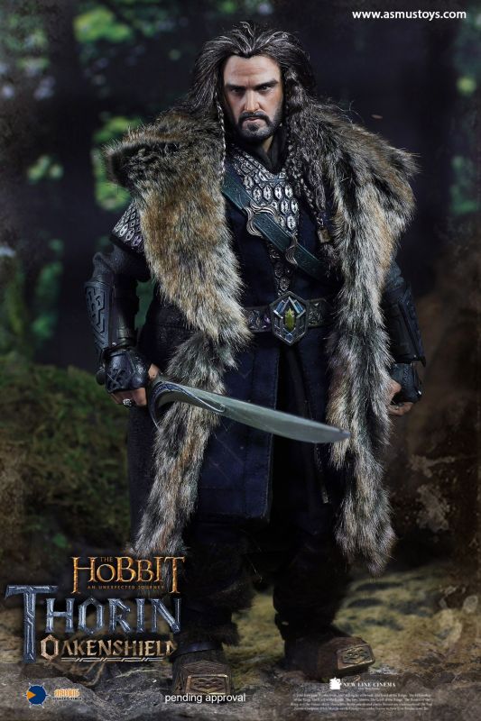 The Hobbit - Thorin Oakenshield image 2