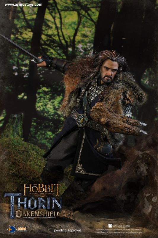 The Hobbit - Thorin Oakenshield image 3