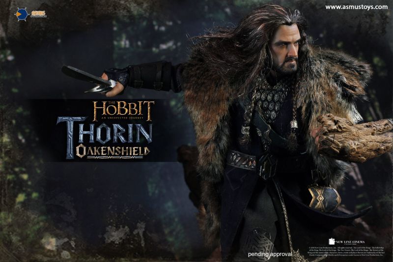 The Hobbit - Thorin Oakenshield image 4