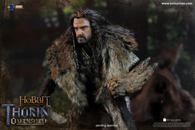 The Hobbit - Thorin Oakenshield image 5