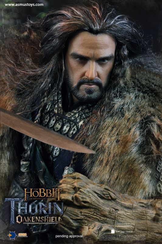 The Hobbit - Thorin Oakenshield image 6