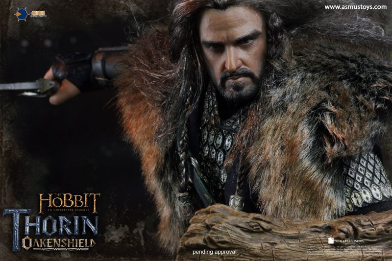 The Hobbit - Thorin Oakenshield image 7