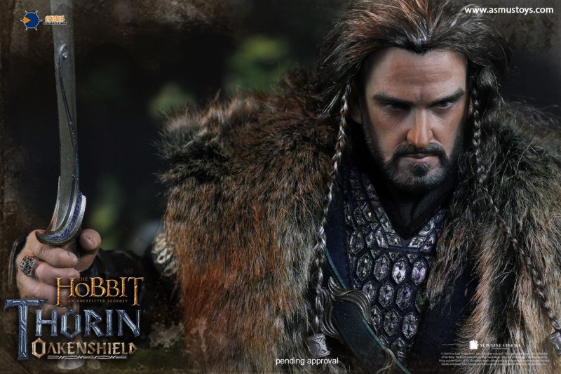 The Hobbit - Thorin Oakenshield image 8