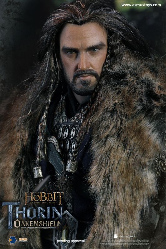 The Hobbit - Thorin Oakenshield image 9