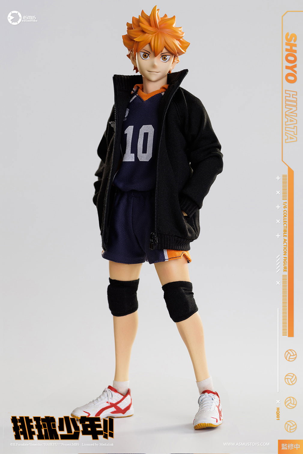 Haikyu: SHOYO HINATA LUXURY image 2