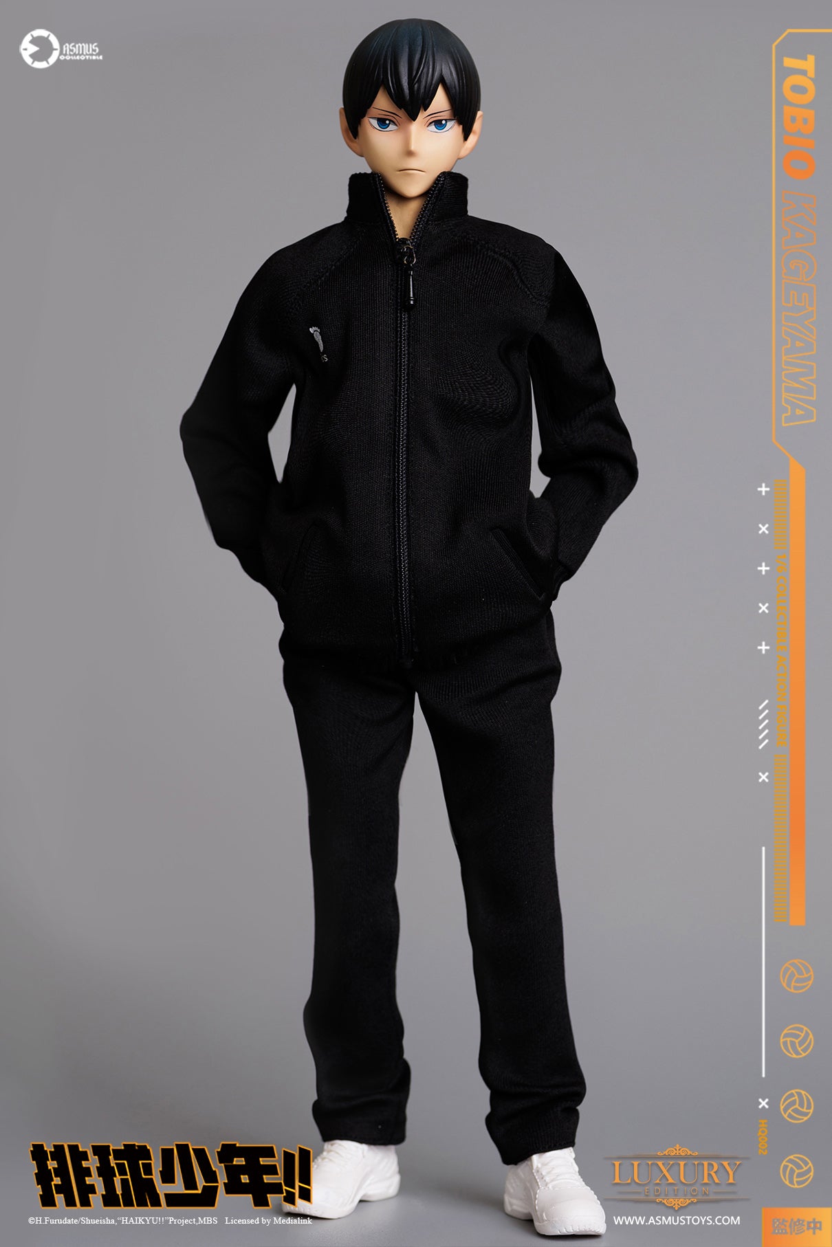 Haikyu: TOBIO KAGEYAMA LUXURY image 2