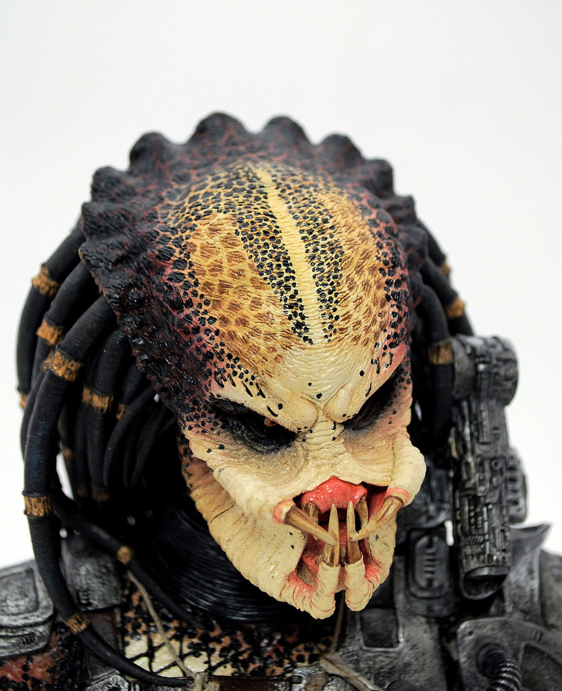 Predator - Predator image 2
