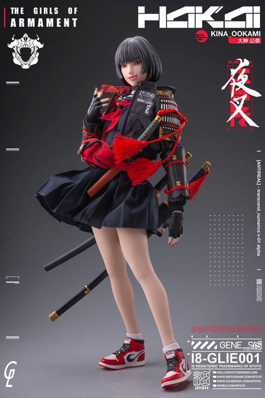 The Girls Of Armament - Kina Ookami image 1