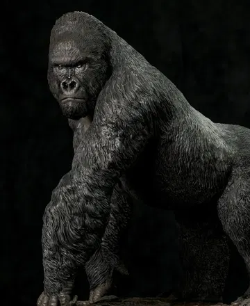 Museum Series Mountain Gorilla