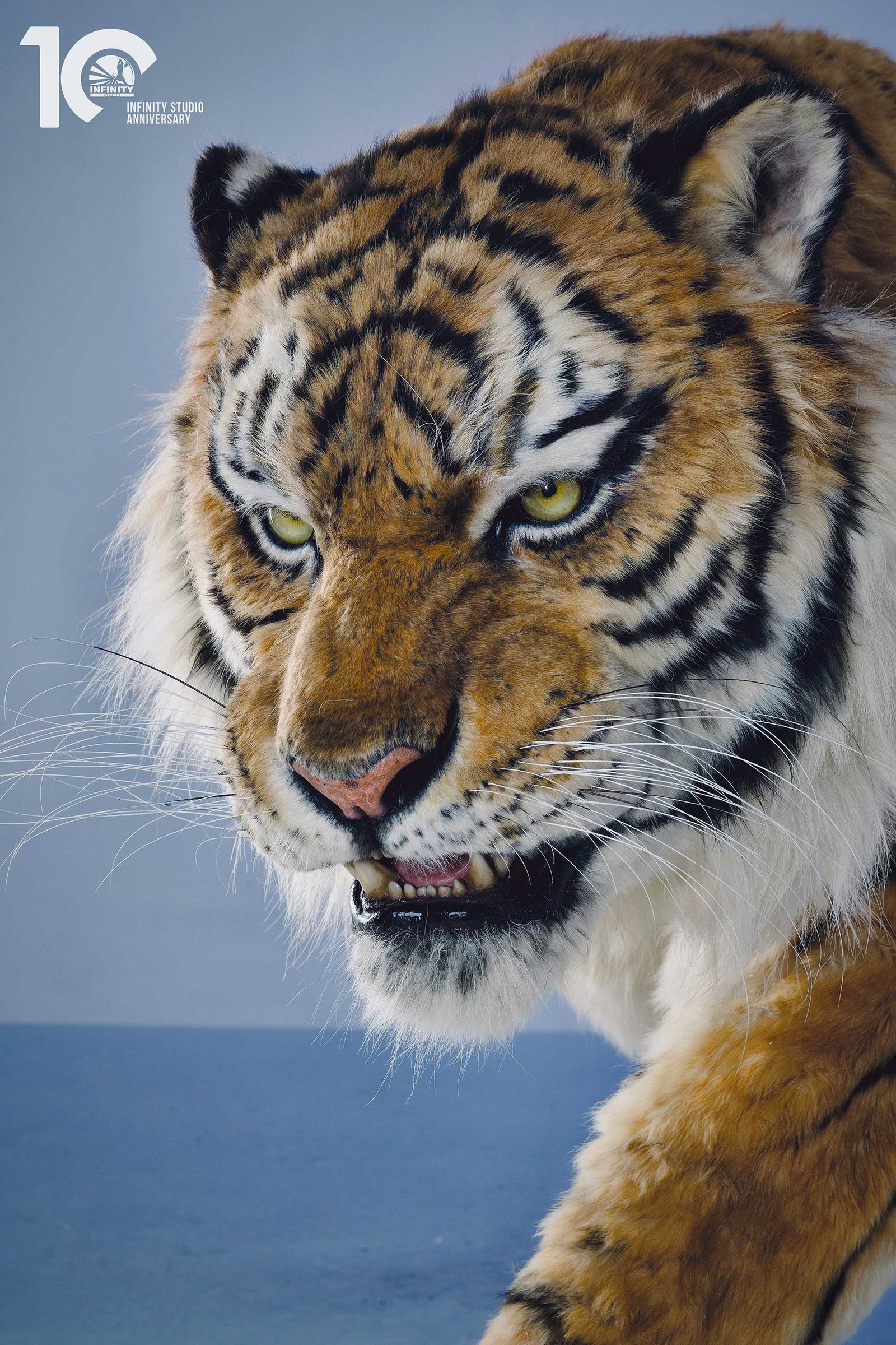 Museum Series Northeast Tiger Museum-Grade Replica image 10
