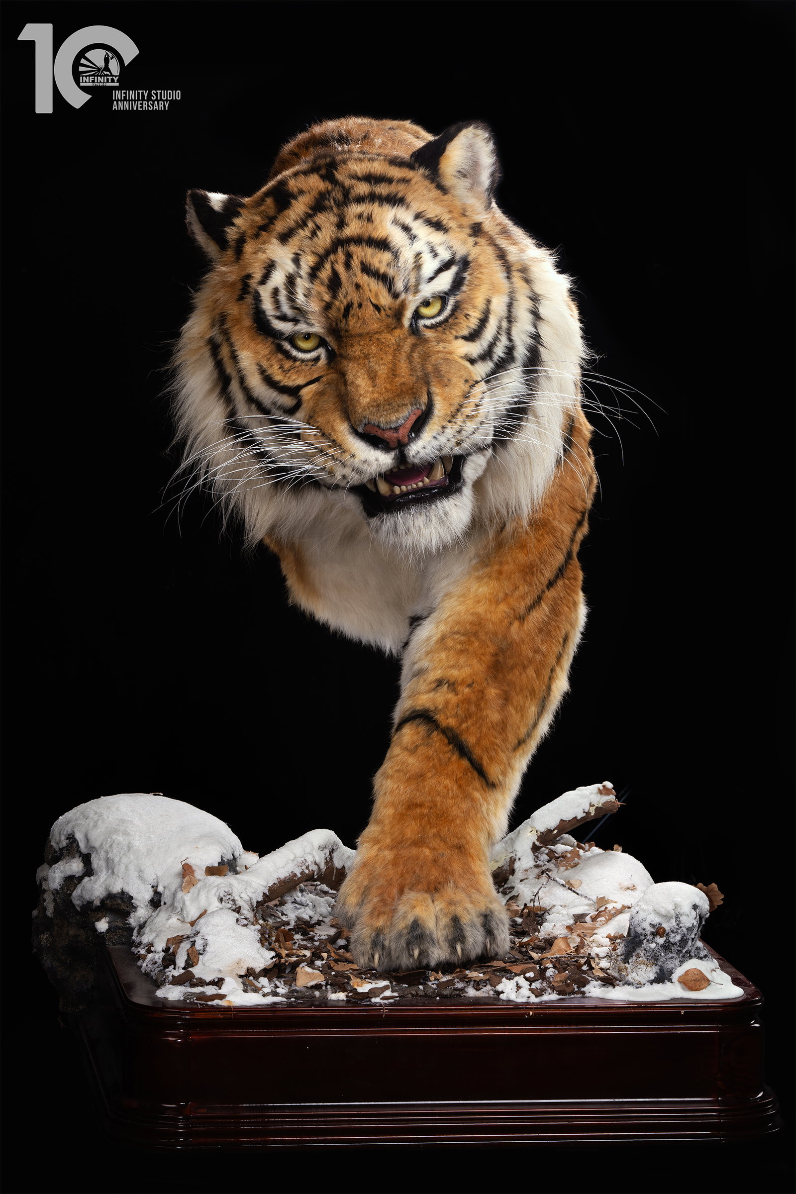 Museum Series Northeast Tiger Museum-Grade Replica image 2