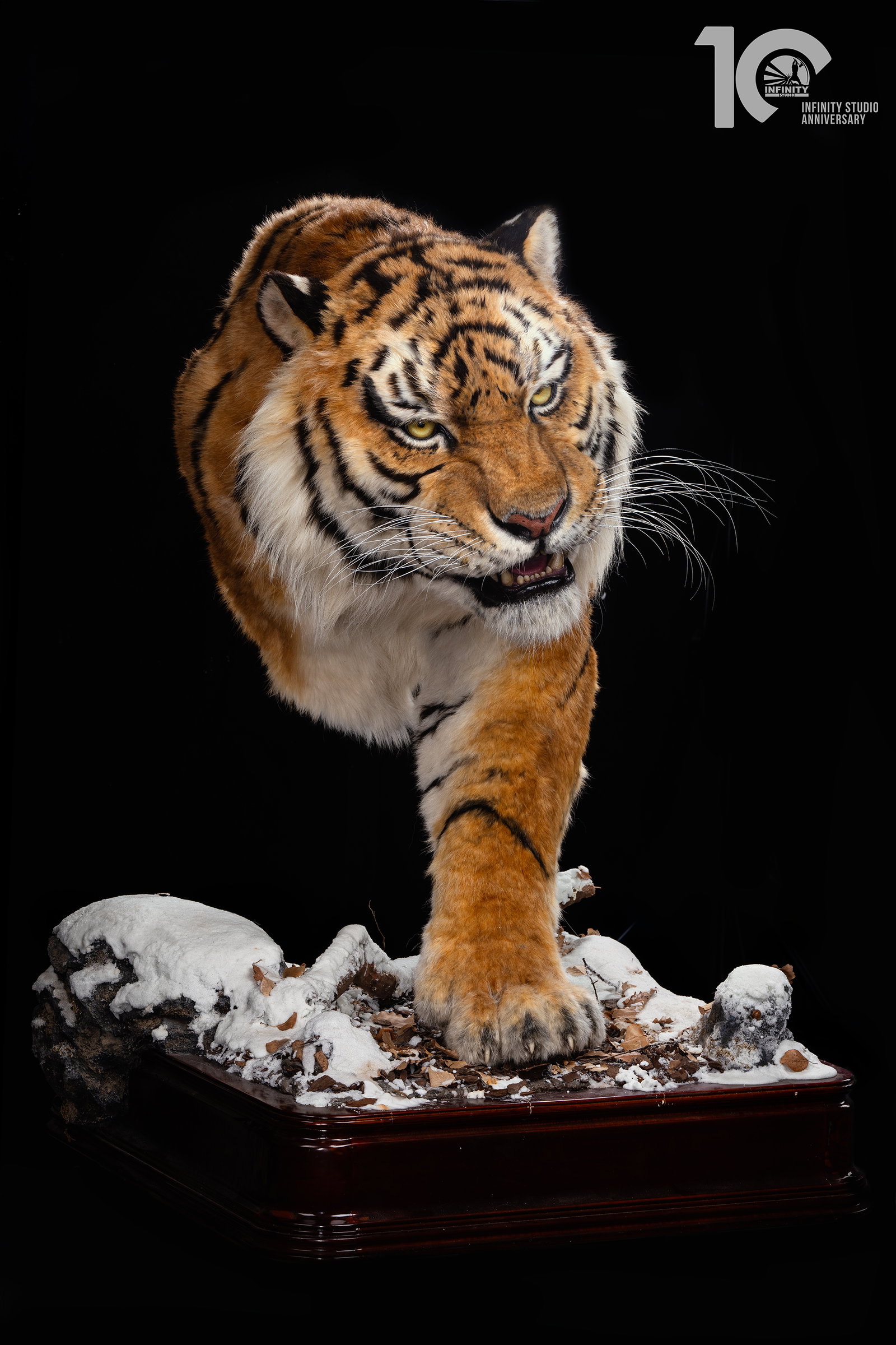 Museum Series Northeast Tiger Museum-Grade Replica image 3