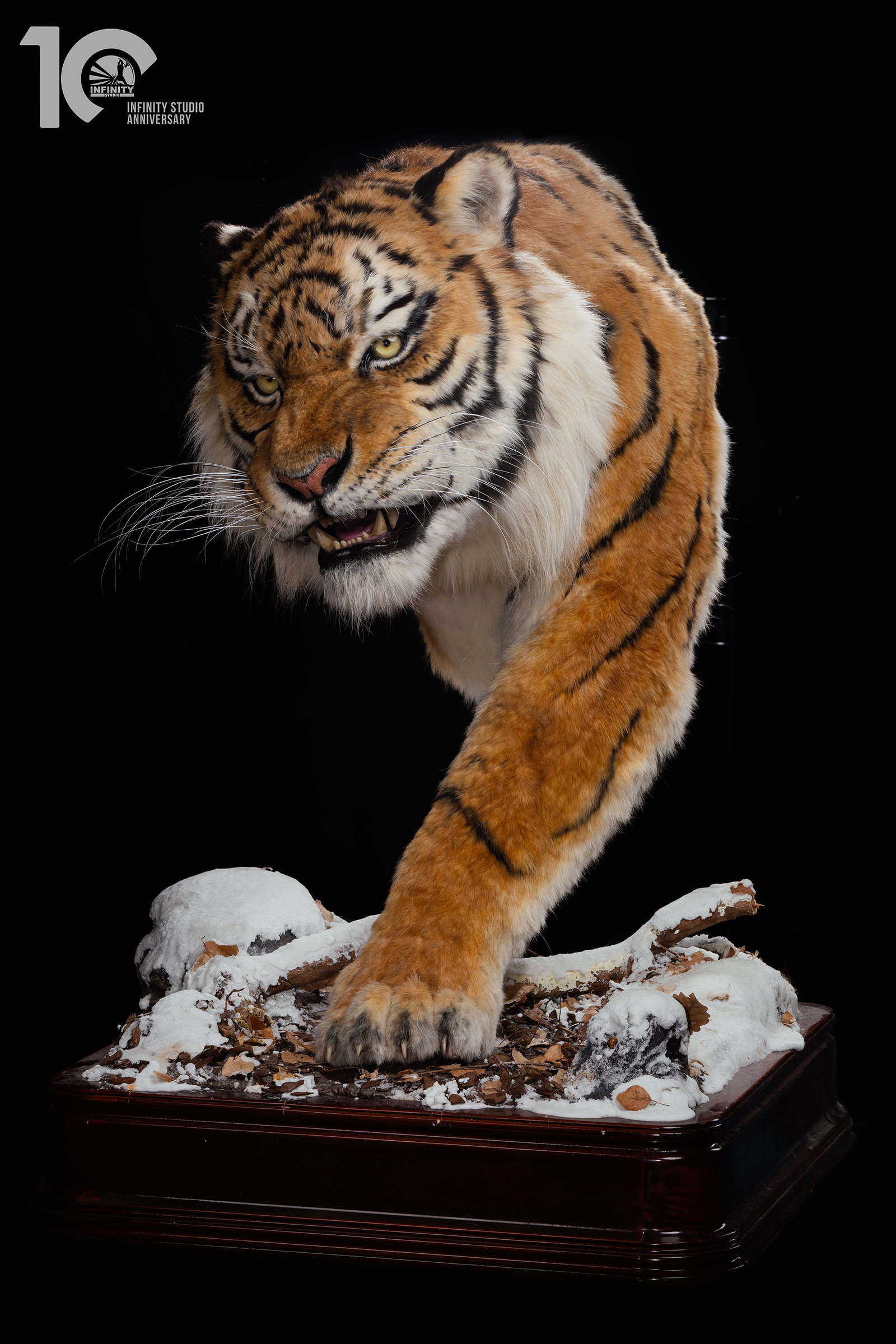 Museum Series Northeast Tiger Museum-Grade Replica image 4