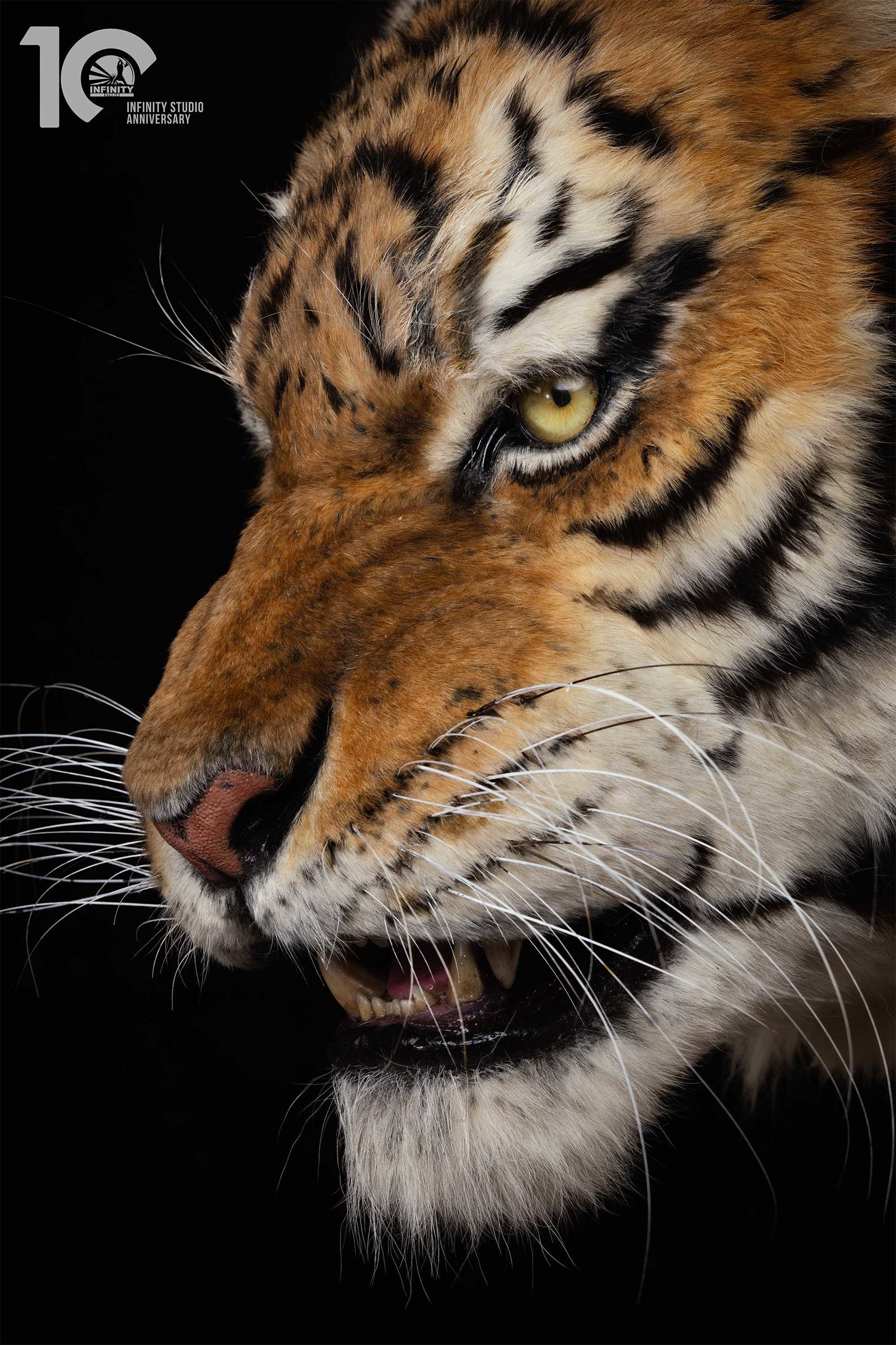 Museum Series Northeast Tiger Museum-Grade Replica image 6