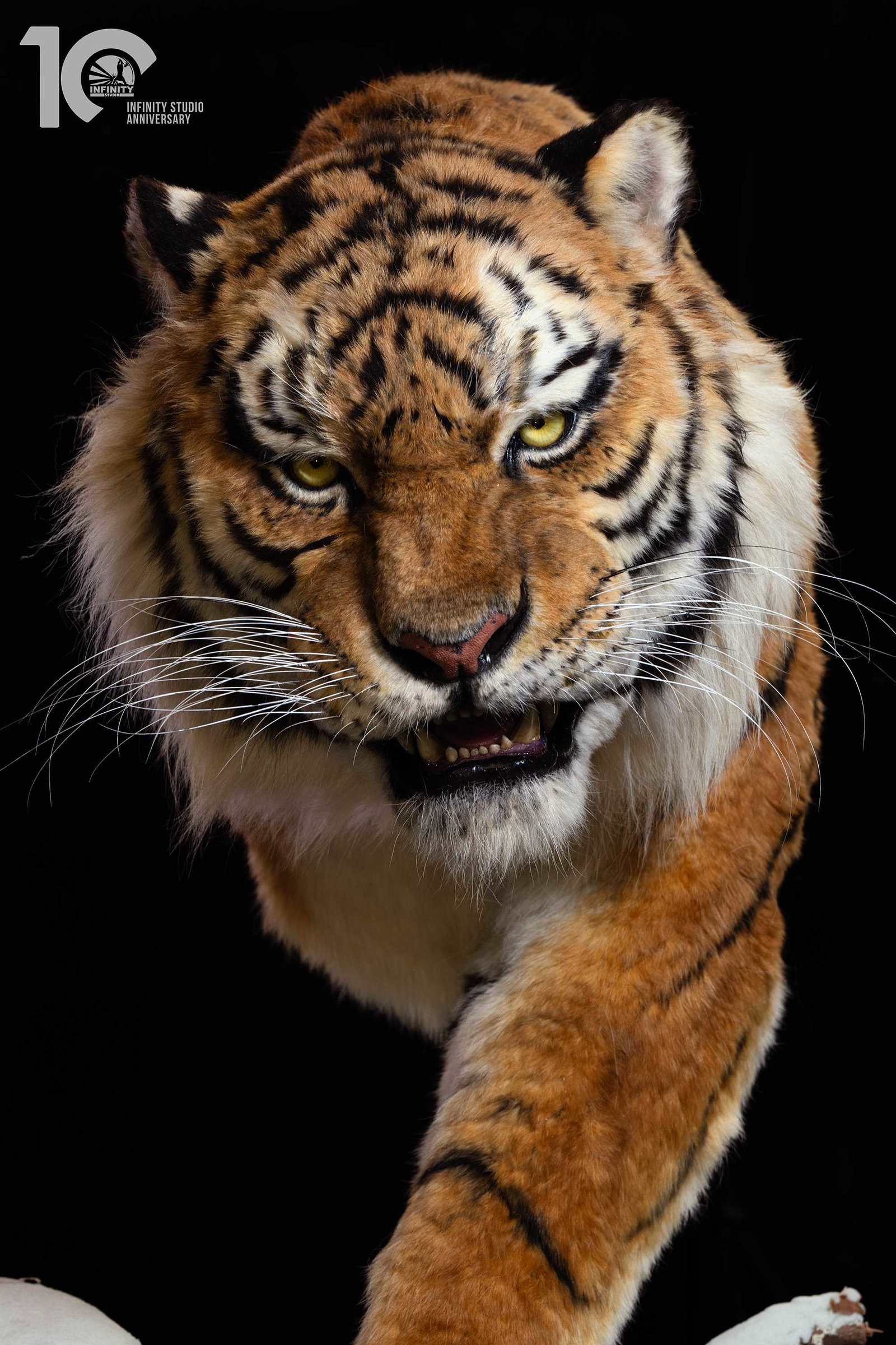 Museum Series Northeast Tiger Museum-Grade Replica image 8