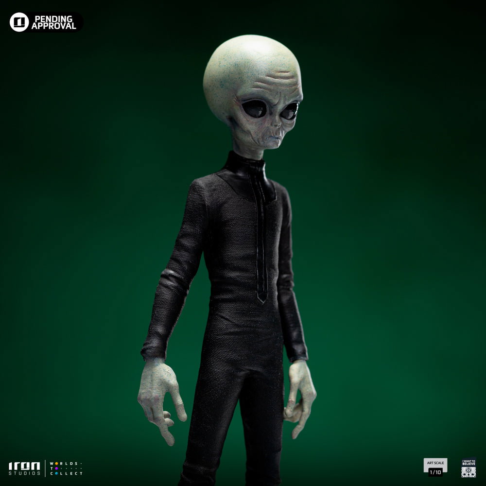 Grey Alien I Want To Believe image 10