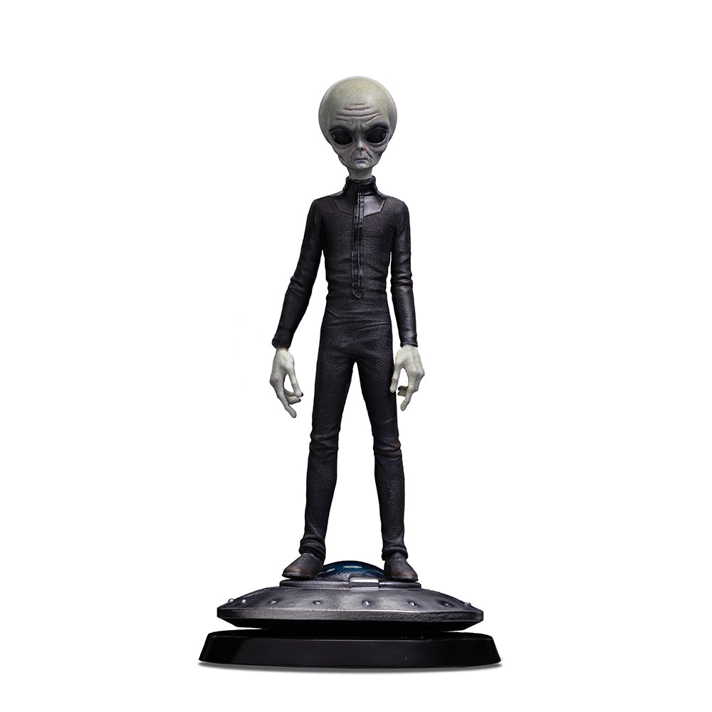 Grey Alien I Want To Believe image 1