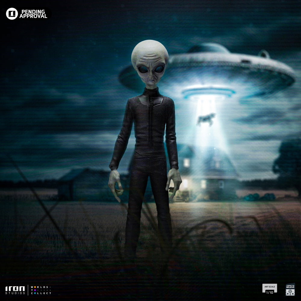 Grey Alien I Want To Believe image 2