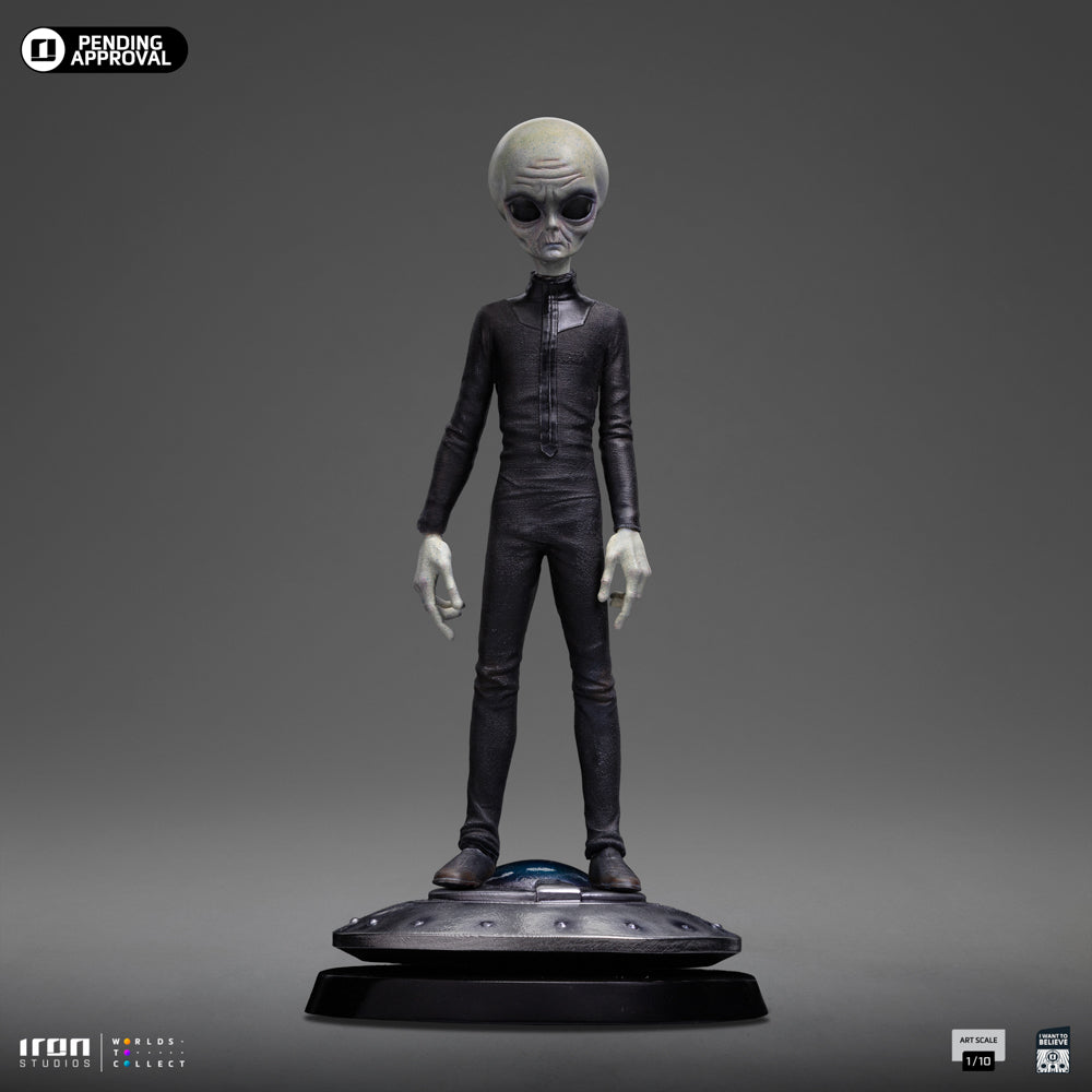 Grey Alien I Want To Believe image 3