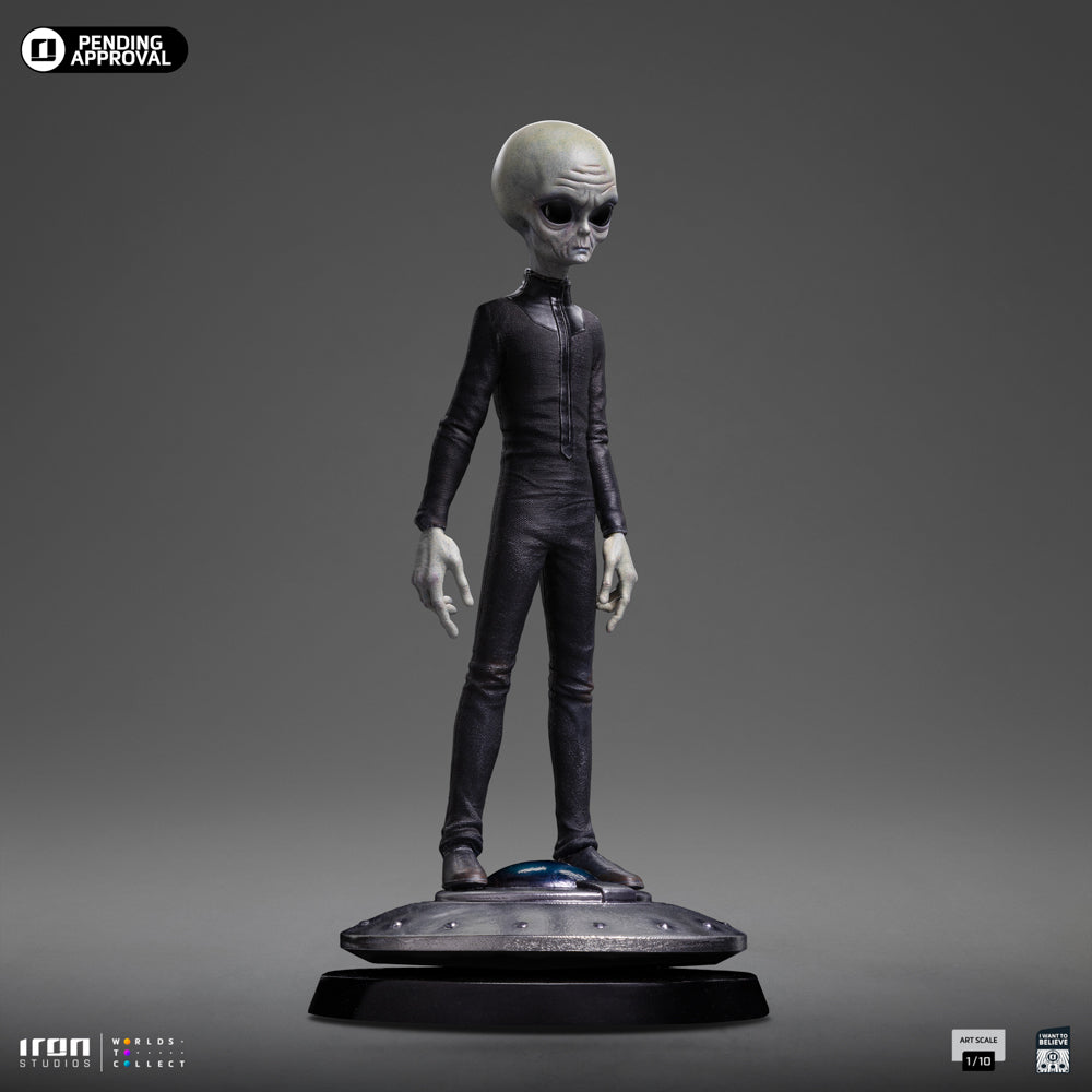 Grey Alien I Want To Believe image 4