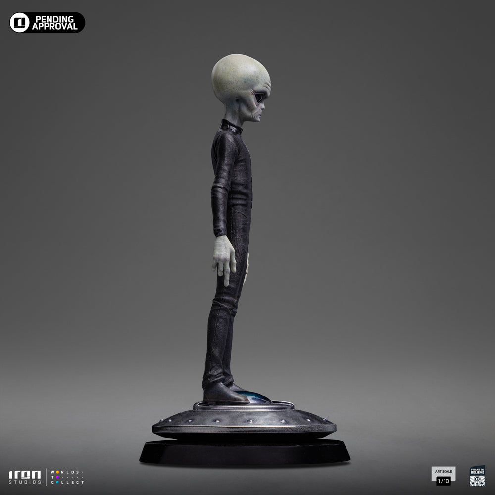 Grey Alien I Want To Believe image 5