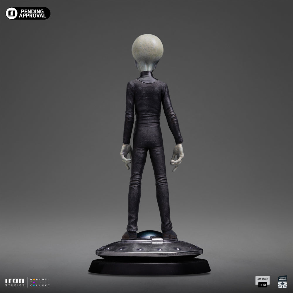 Grey Alien I Want To Believe image 6