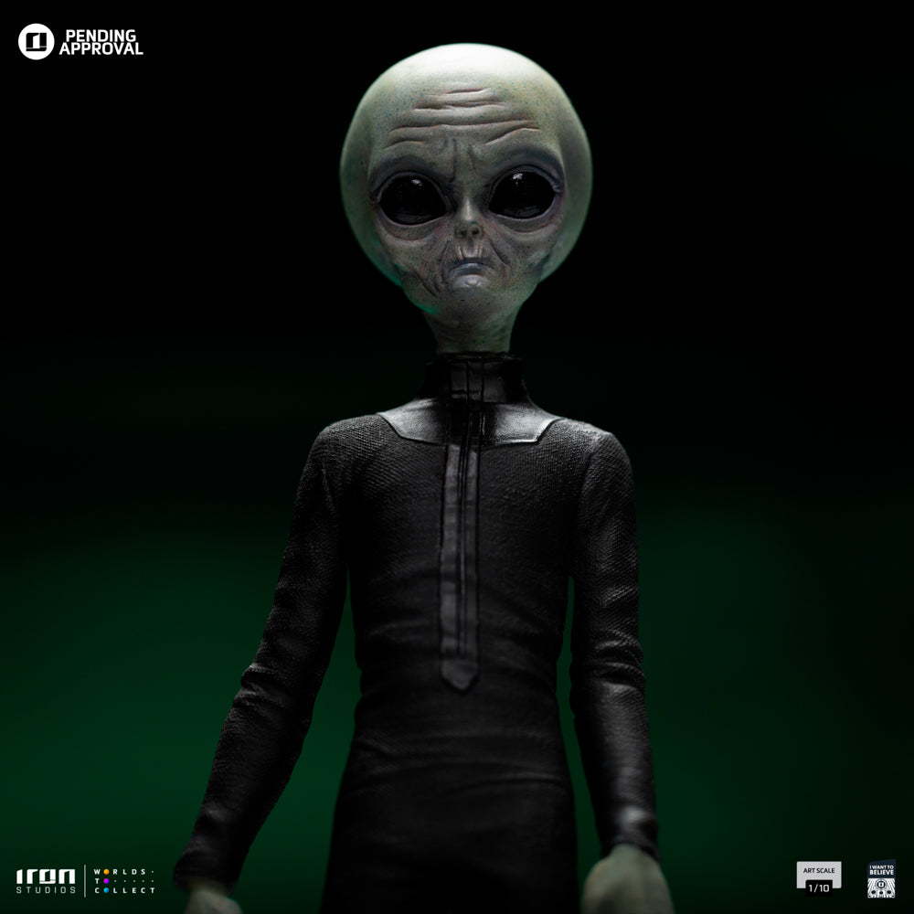 Grey Alien I Want To Believe image 7