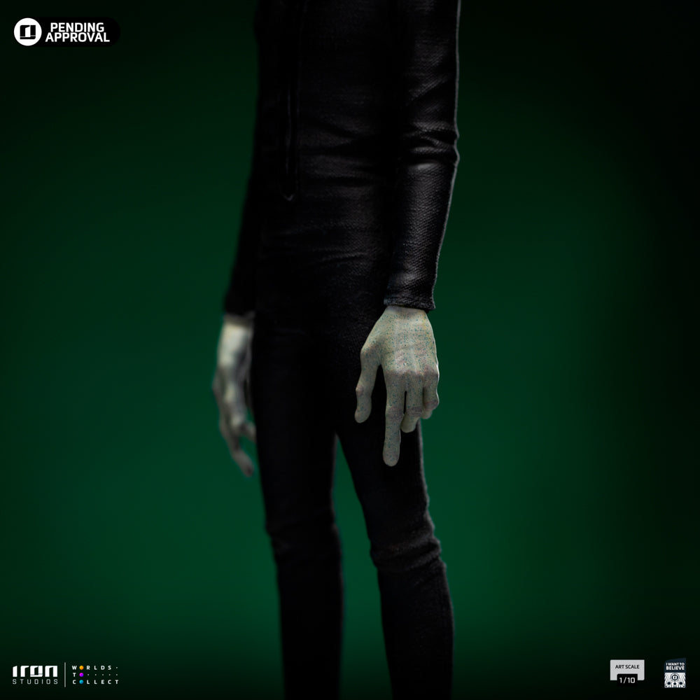 Grey Alien I Want To Believe image 8