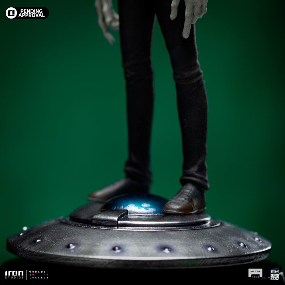 Grey Alien I Want To Believe image 9