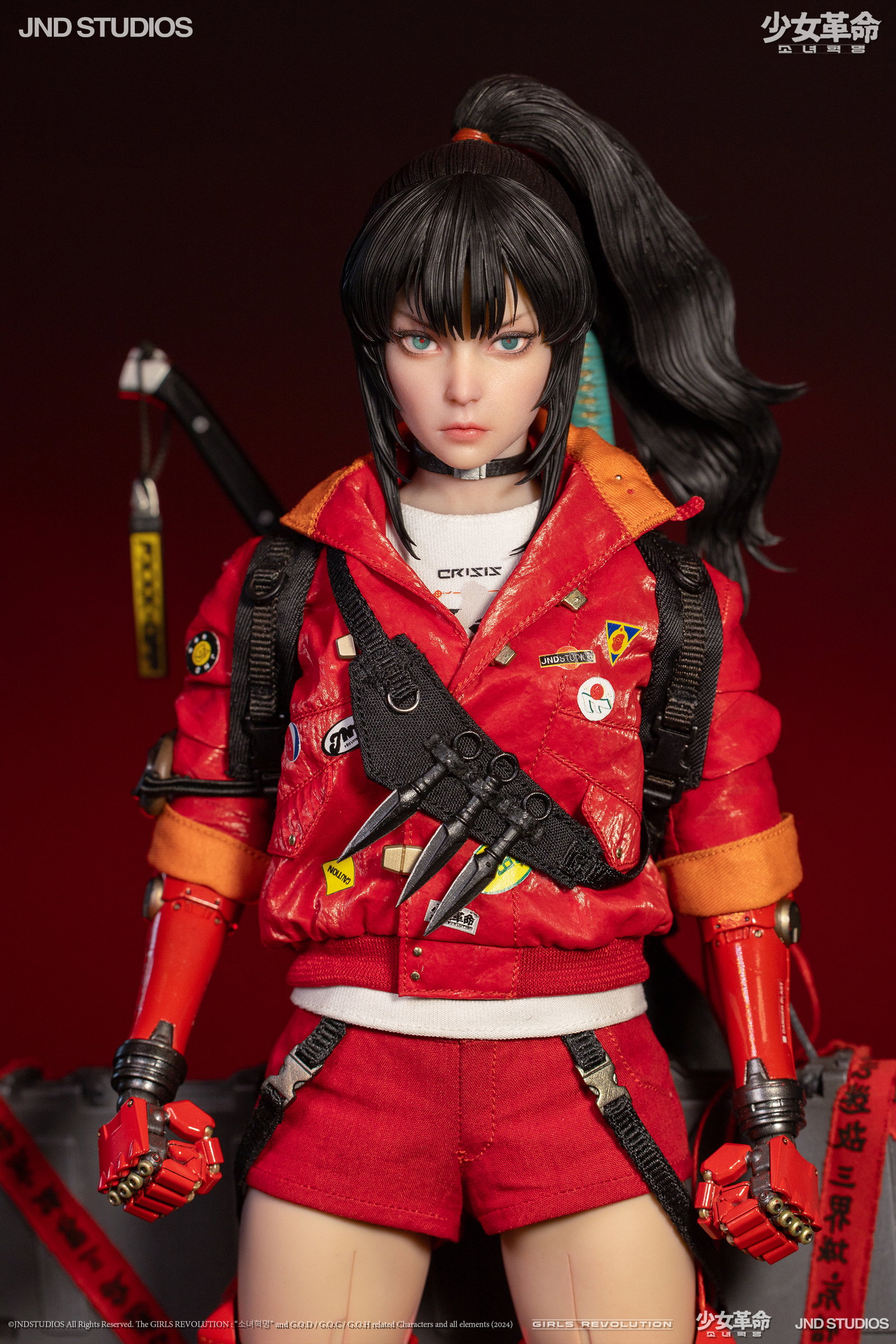 JND HIKARU (Collector's Edition) of Girls' Revolution image 10