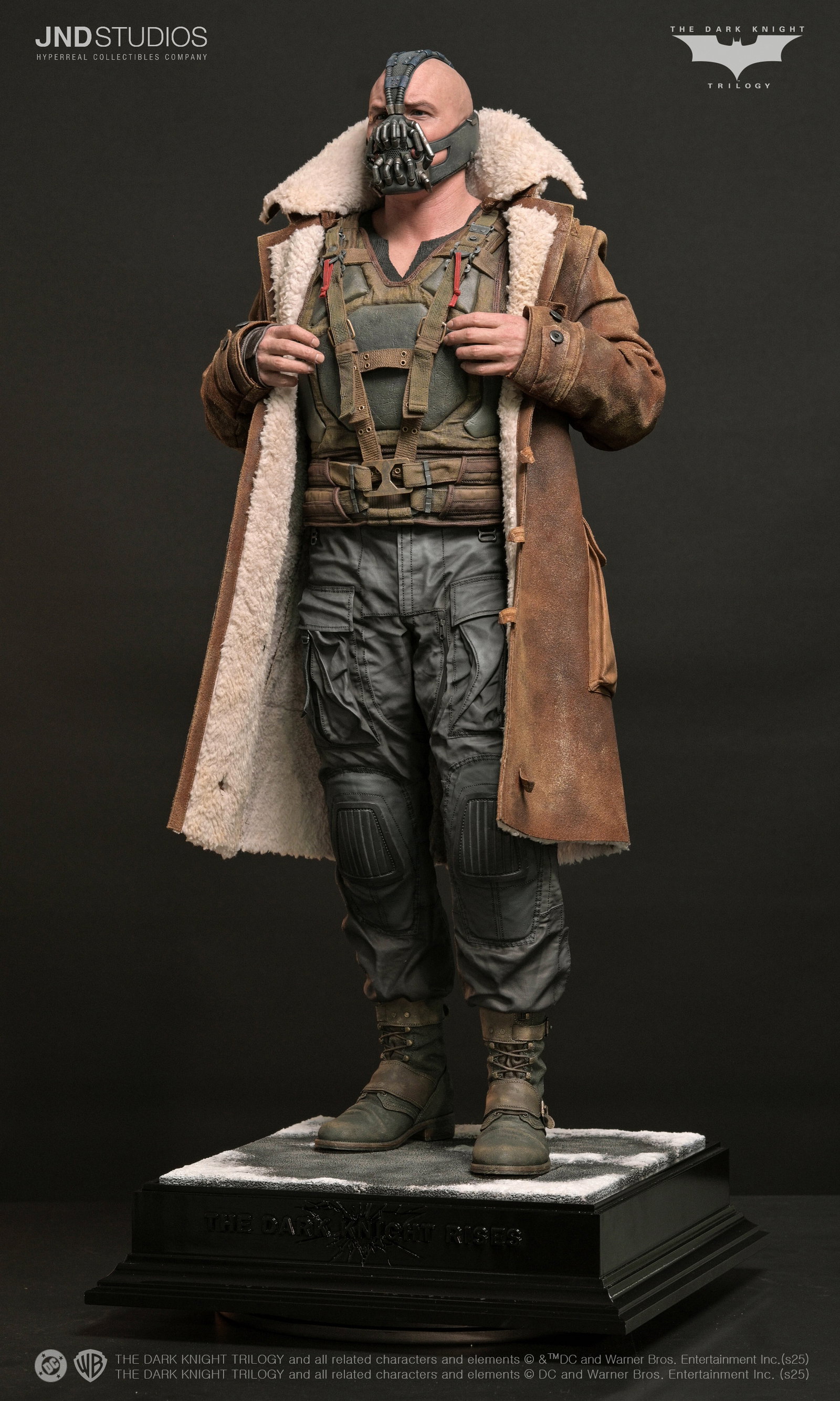 Bane of The Dark Knight Trilogy image 10