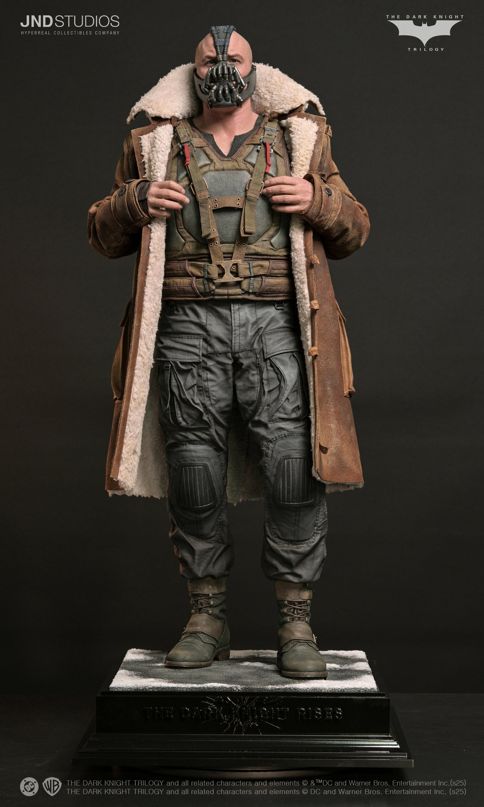 Bane of The Dark Knight Trilogy image 2