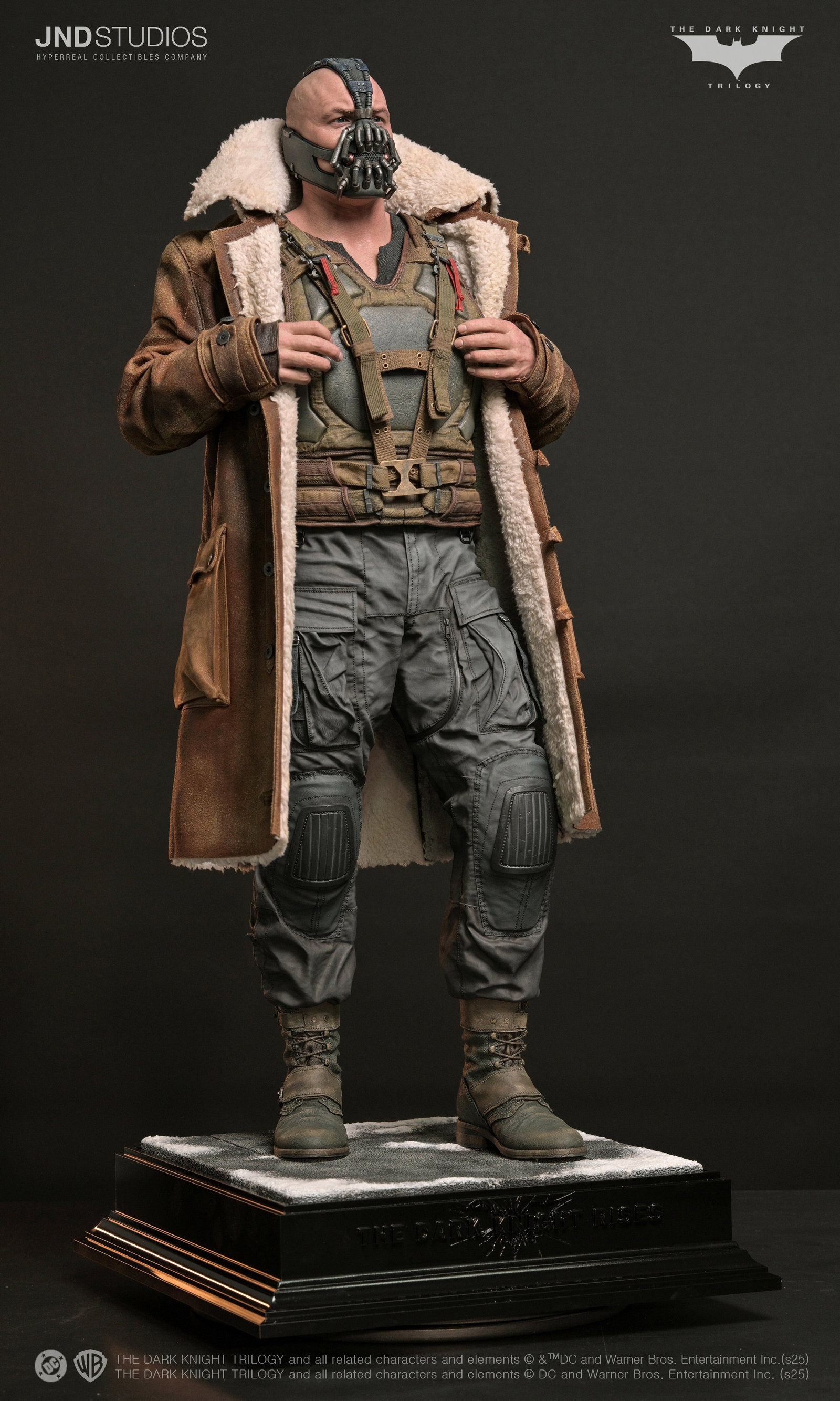 Bane of The Dark Knight Trilogy image 3