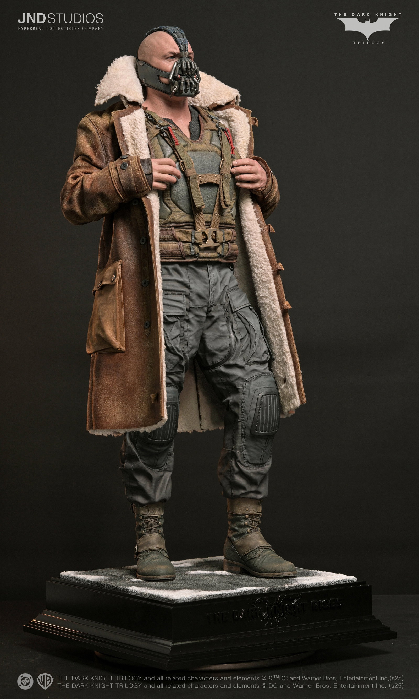 Bane of The Dark Knight Trilogy image 4