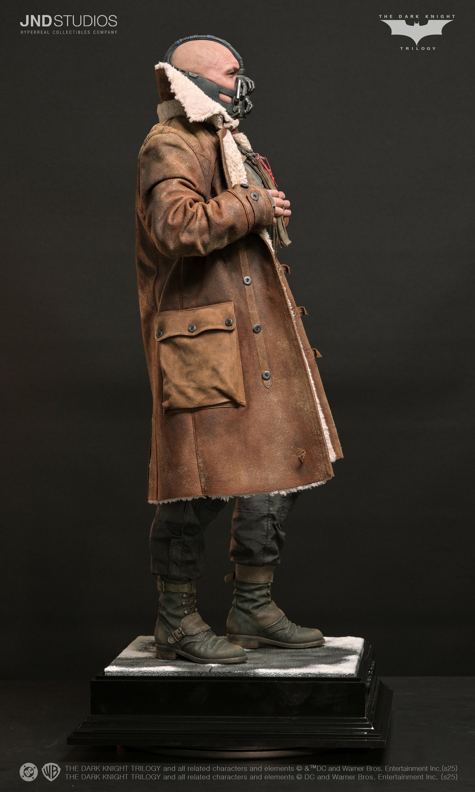 Bane of The Dark Knight Trilogy image 5