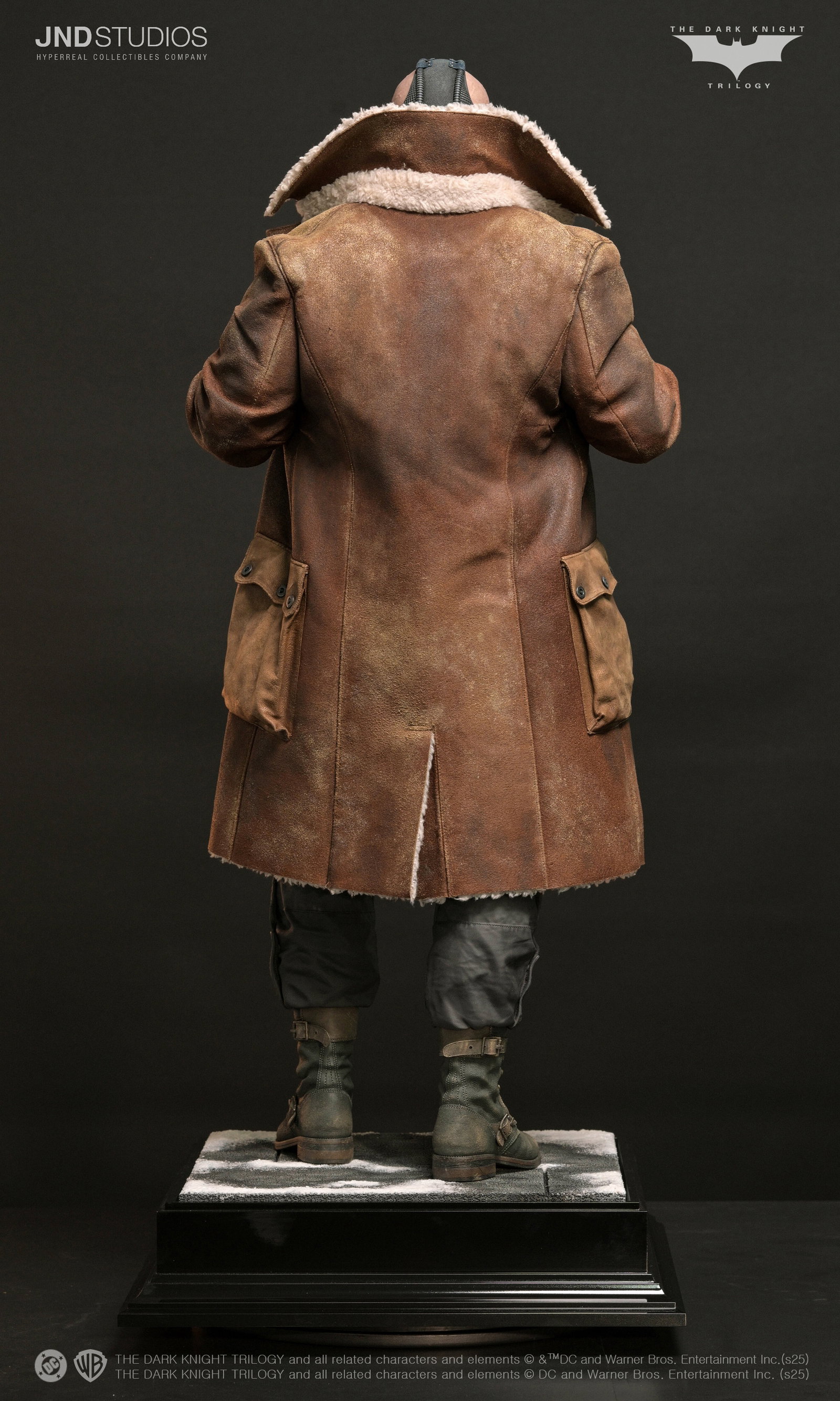 Bane of The Dark Knight Trilogy image 7