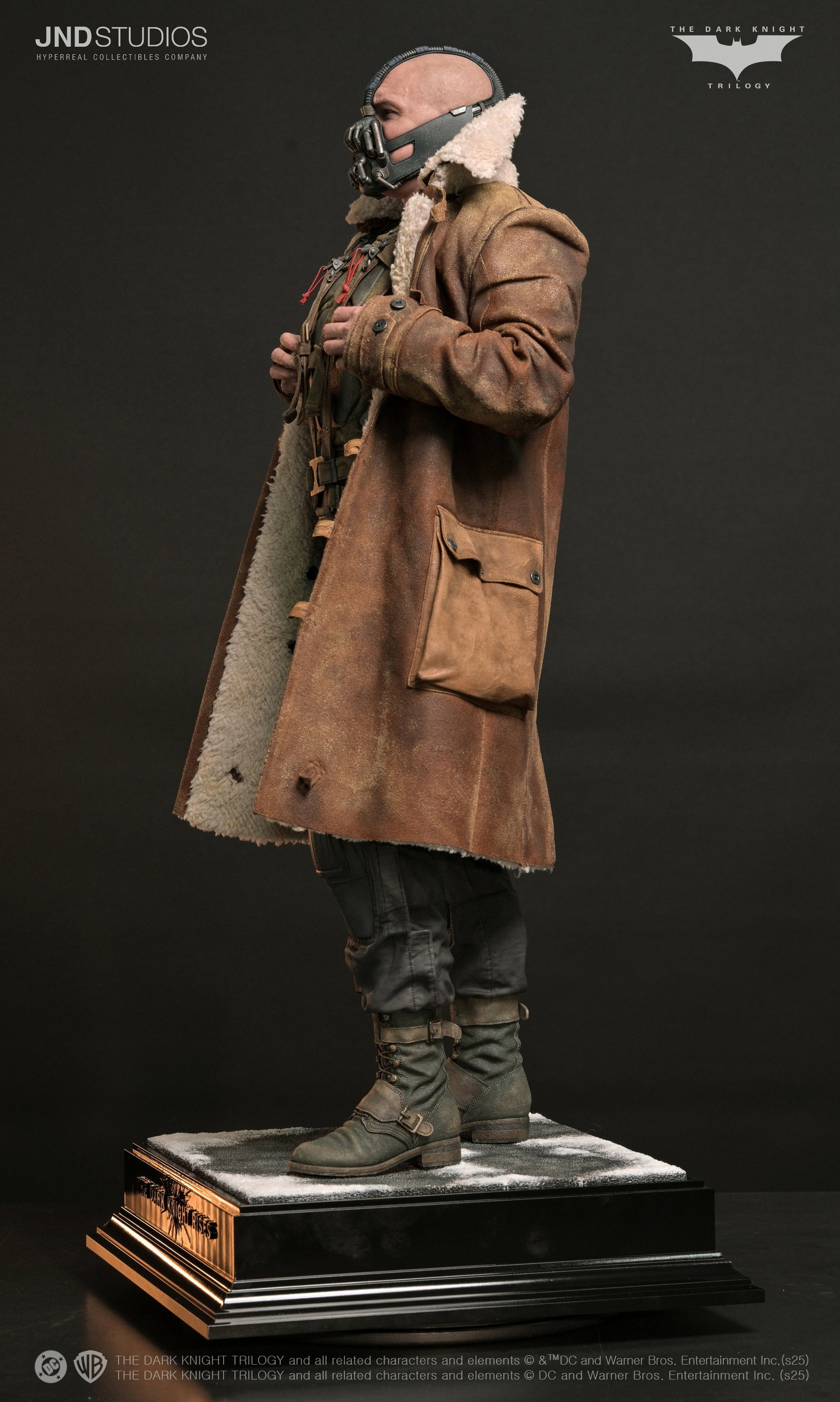 Bane of The Dark Knight Trilogy image 9