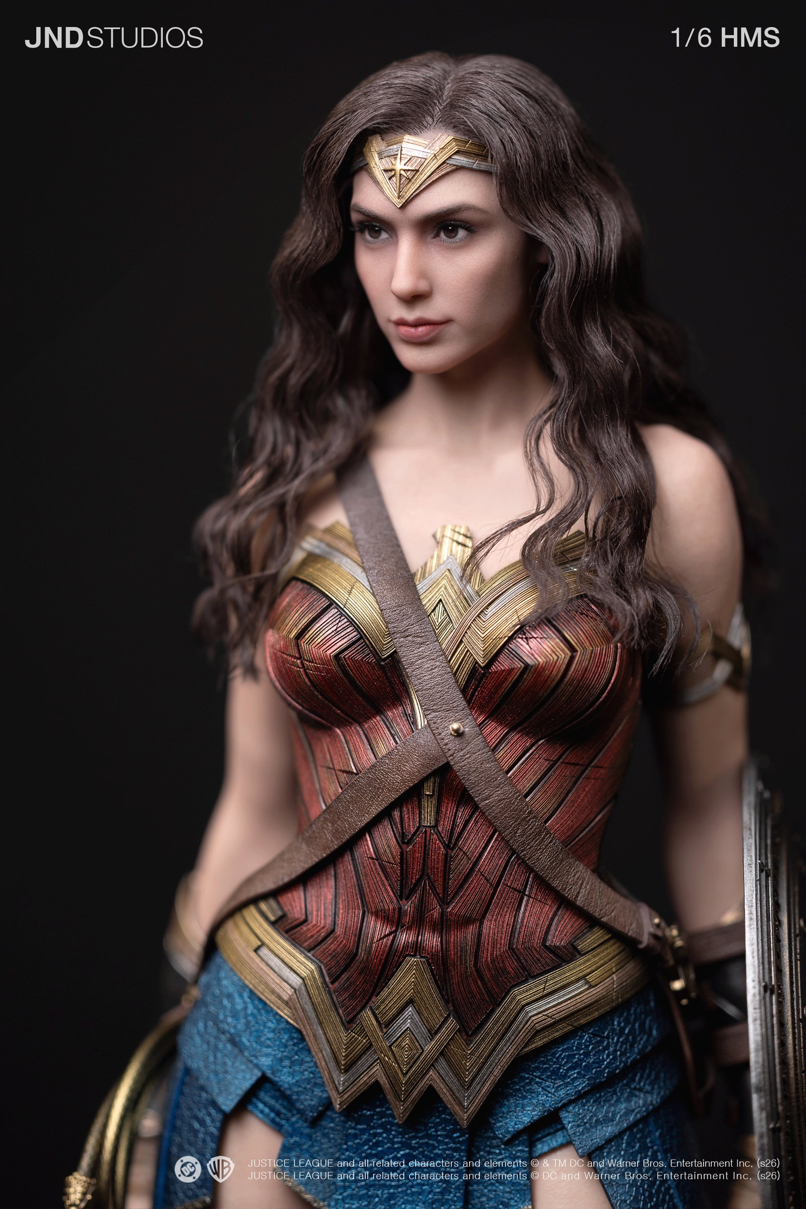 HMS DC JL Wonder Woman image 10